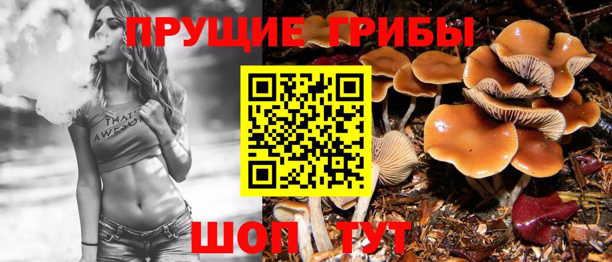 Псилоцибиновые грибы прущие грибы  Вход с VPN  Азов 
